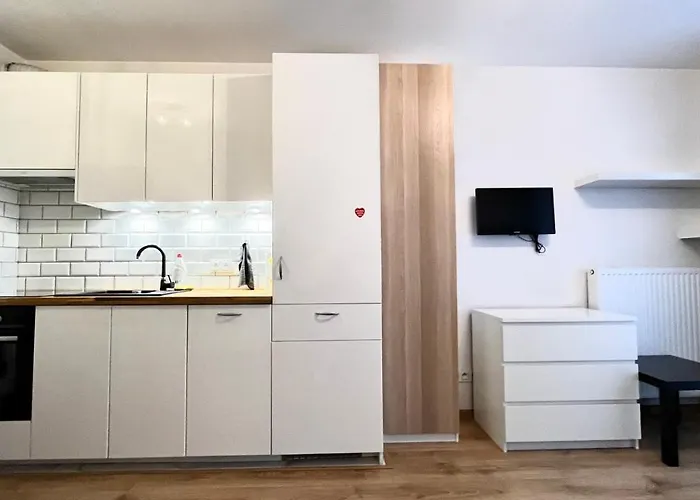 Downtown Apartment 2