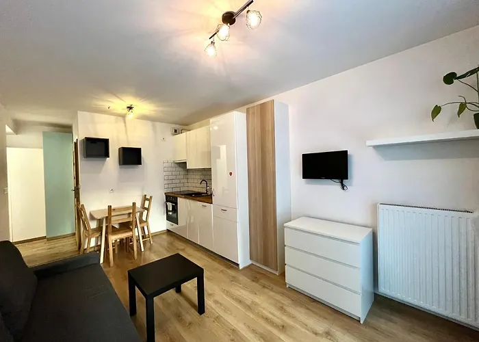 Downtown Apartment 2